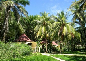 Ylang Ylang Beach Resort Montezuma Costa Rica