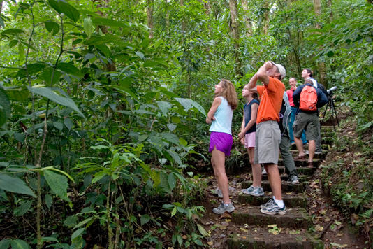 Monteverde Cloud Forest Tour Photo 3