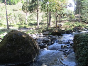 Off the Beaten Path Costa Rica Vacations - San Gerardo de Dota