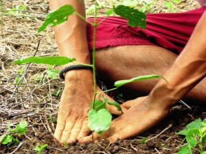 volunteer vacations in costa rica