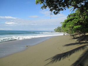 Playa Pan Dulce Lapa Rios