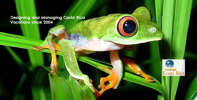 Costa Rica Vacation Consulting
